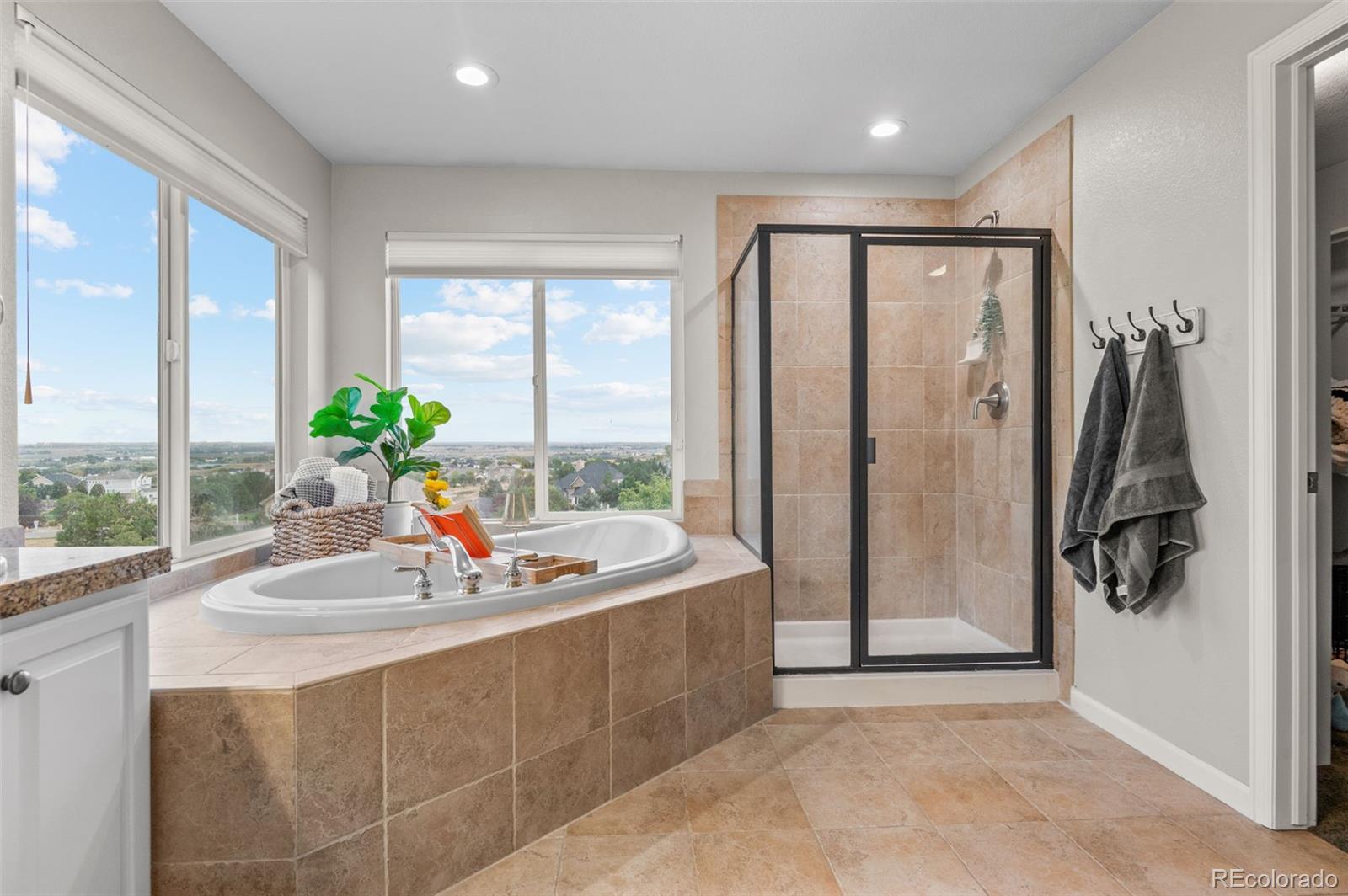 MLS Image #28 for 9407 e 147th place,brighton, Colorado