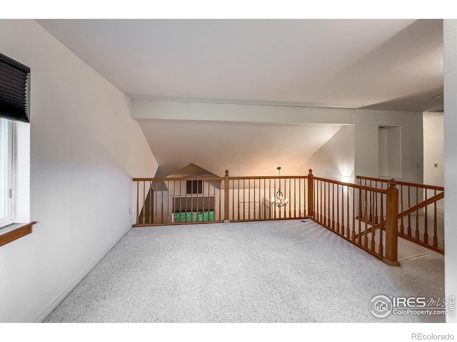 MLS Image #18 for 1004  chokecherry lane,longmont, Colorado
