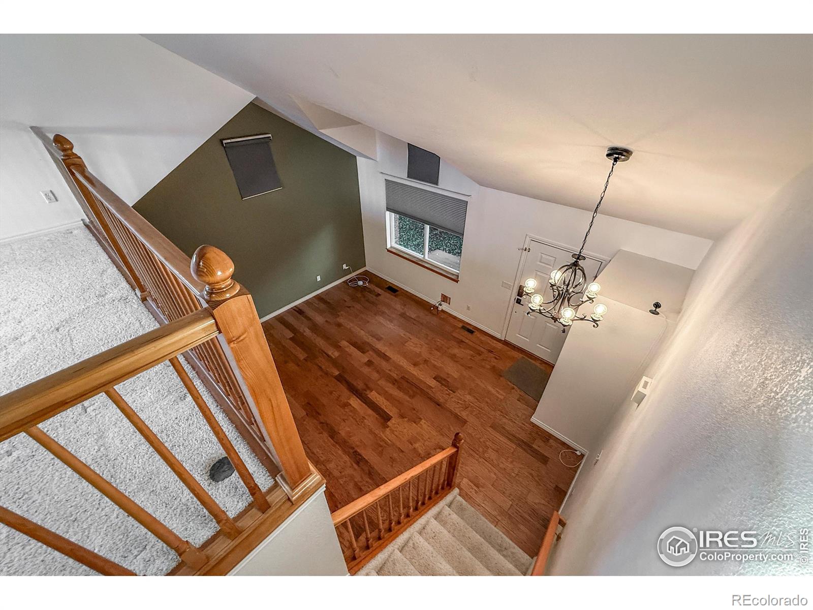 MLS Image #5 for 1004  chokecherry lane,longmont, Colorado