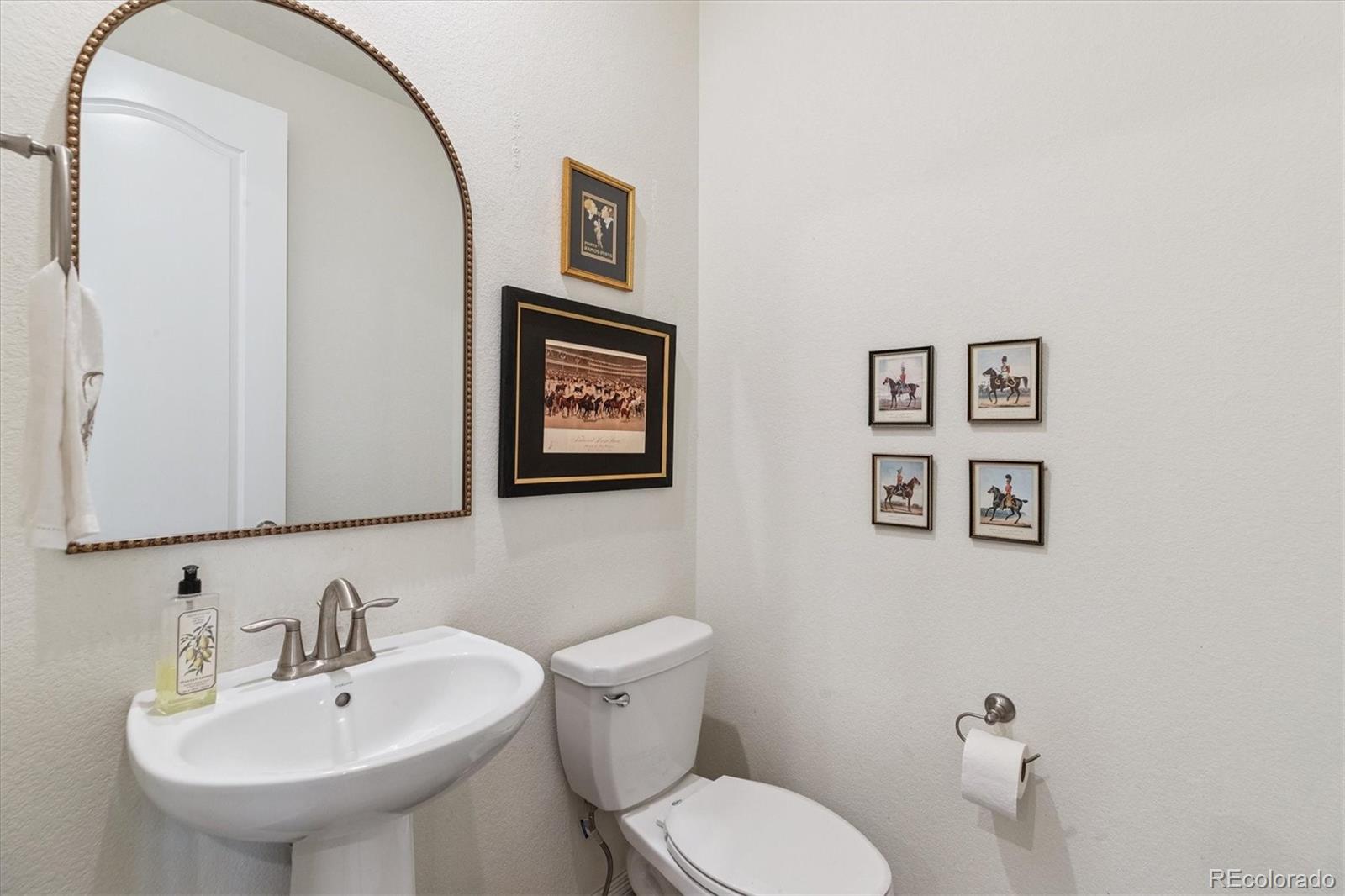 MLS Image #14 for 14938  vienna circle,parker, Colorado