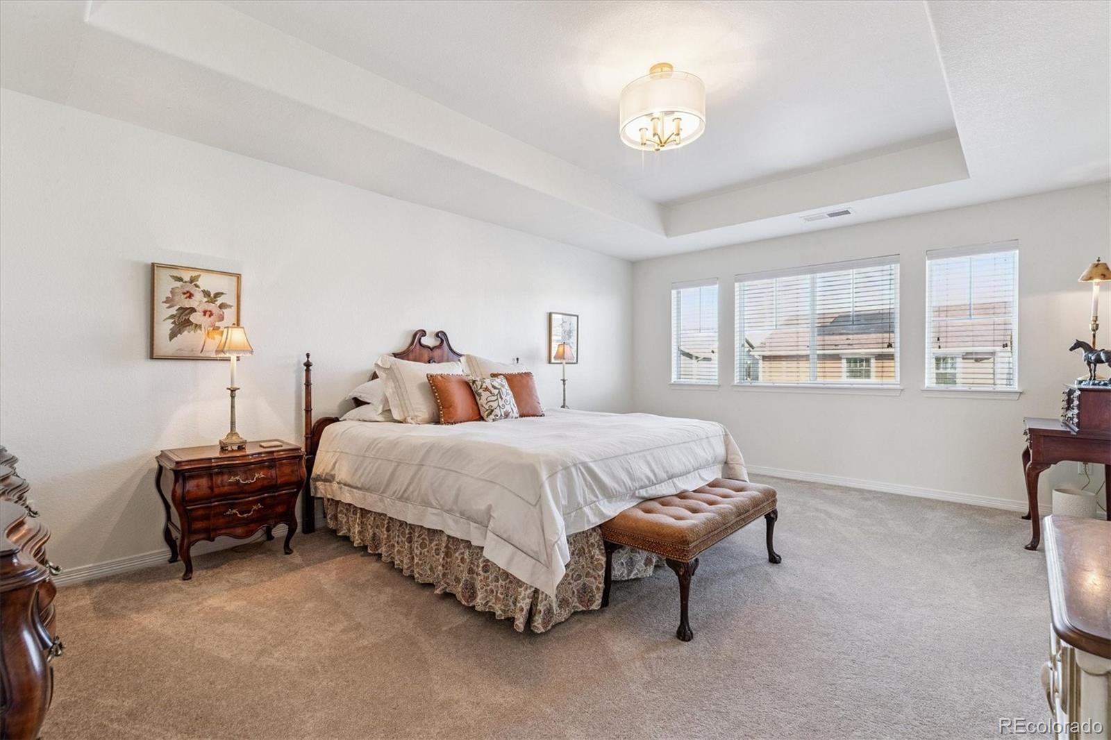 MLS Image #16 for 14938  vienna circle,parker, Colorado