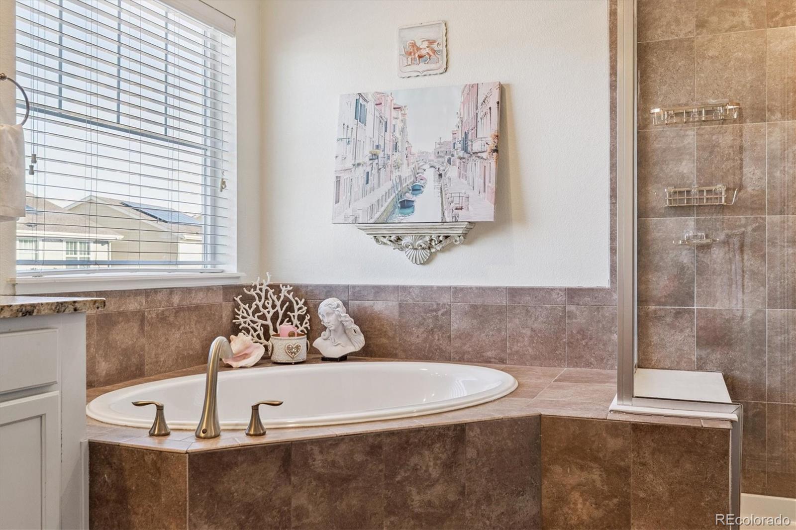 MLS Image #18 for 14938  vienna circle,parker, Colorado