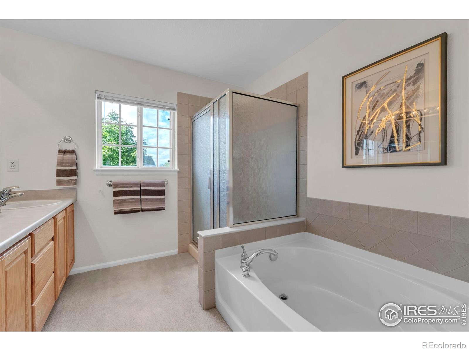 MLS Image #25 for 13676  rock point 101,broomfield, Colorado