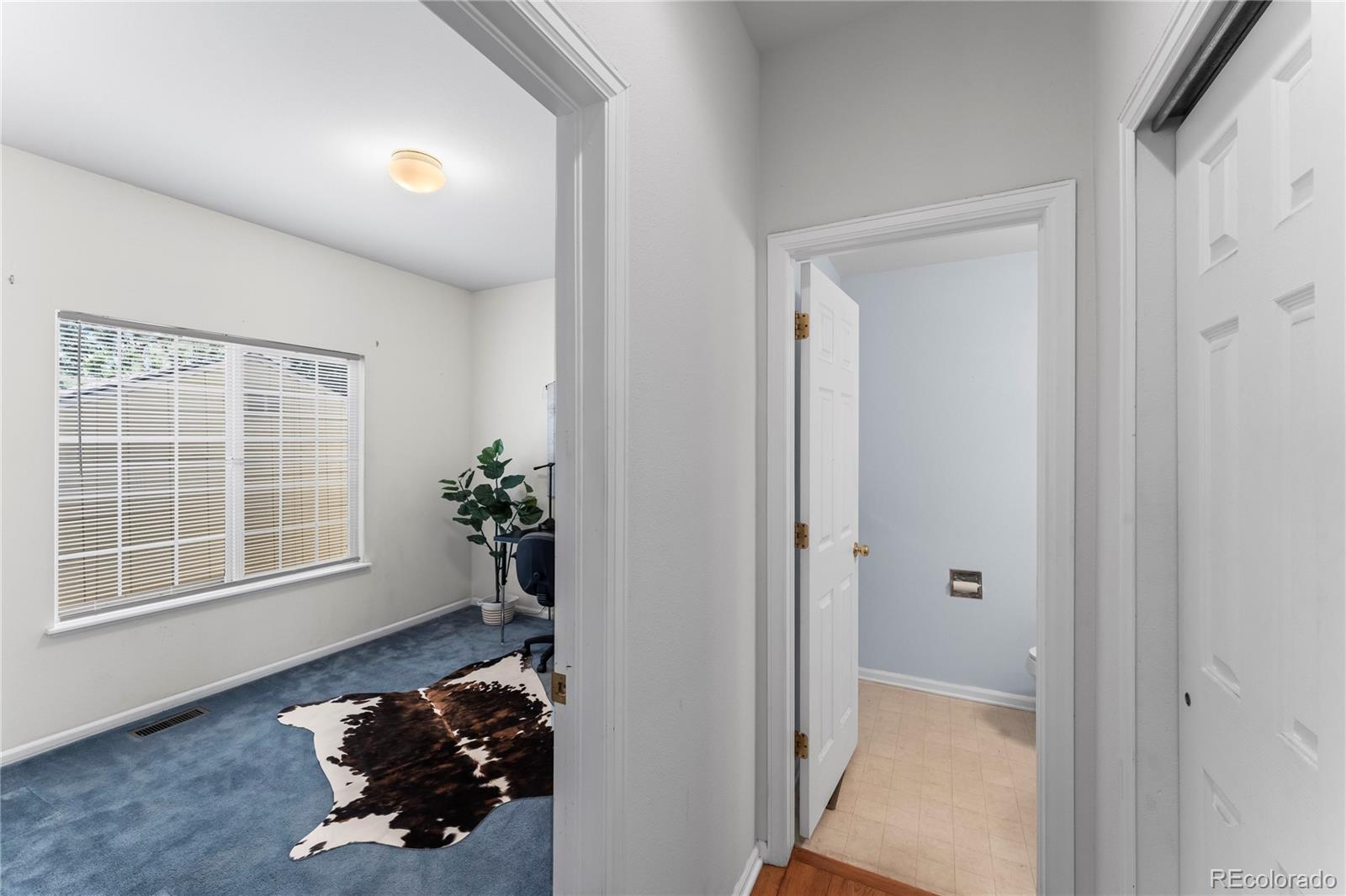 MLS Image #20 for 4545  bays water drive,colorado springs, Colorado