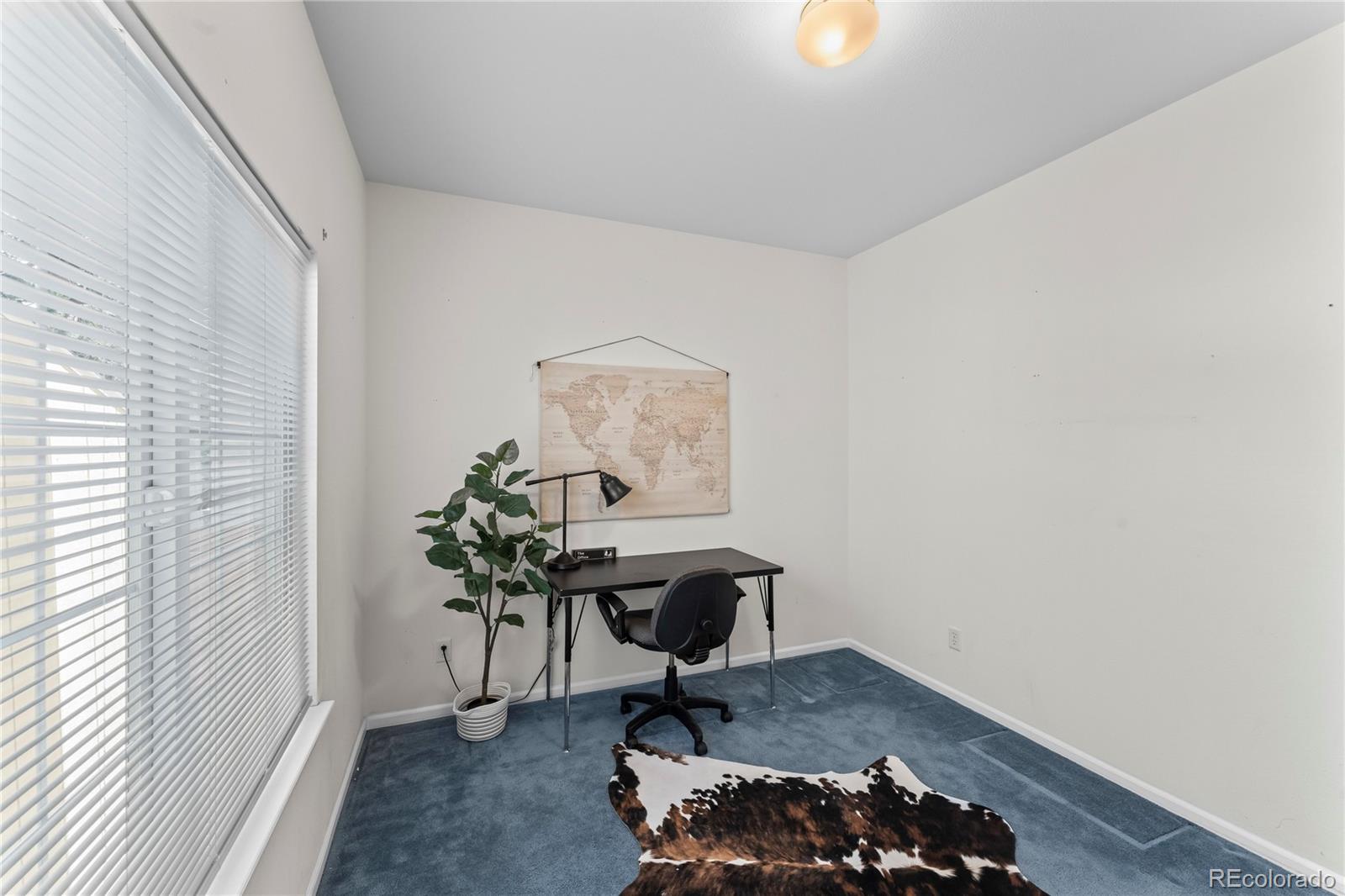 MLS Image #22 for 4545  bays water drive,colorado springs, Colorado