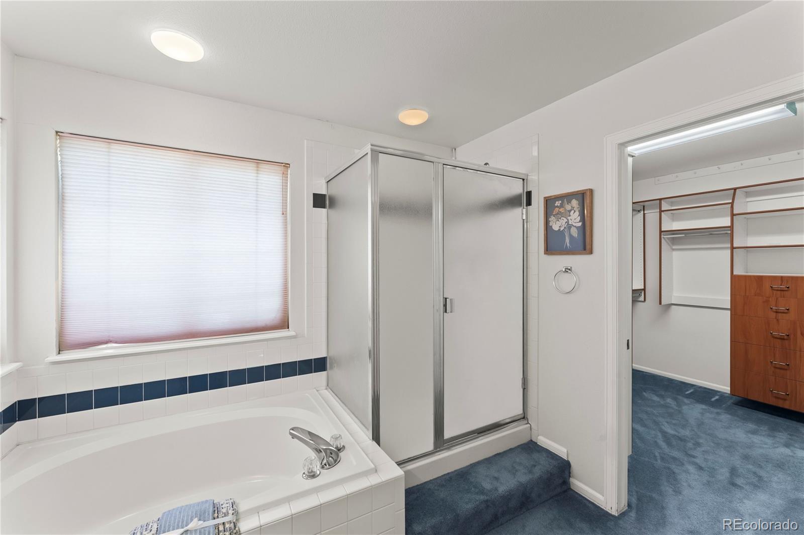 MLS Image #38 for 4545  bays water drive,colorado springs, Colorado