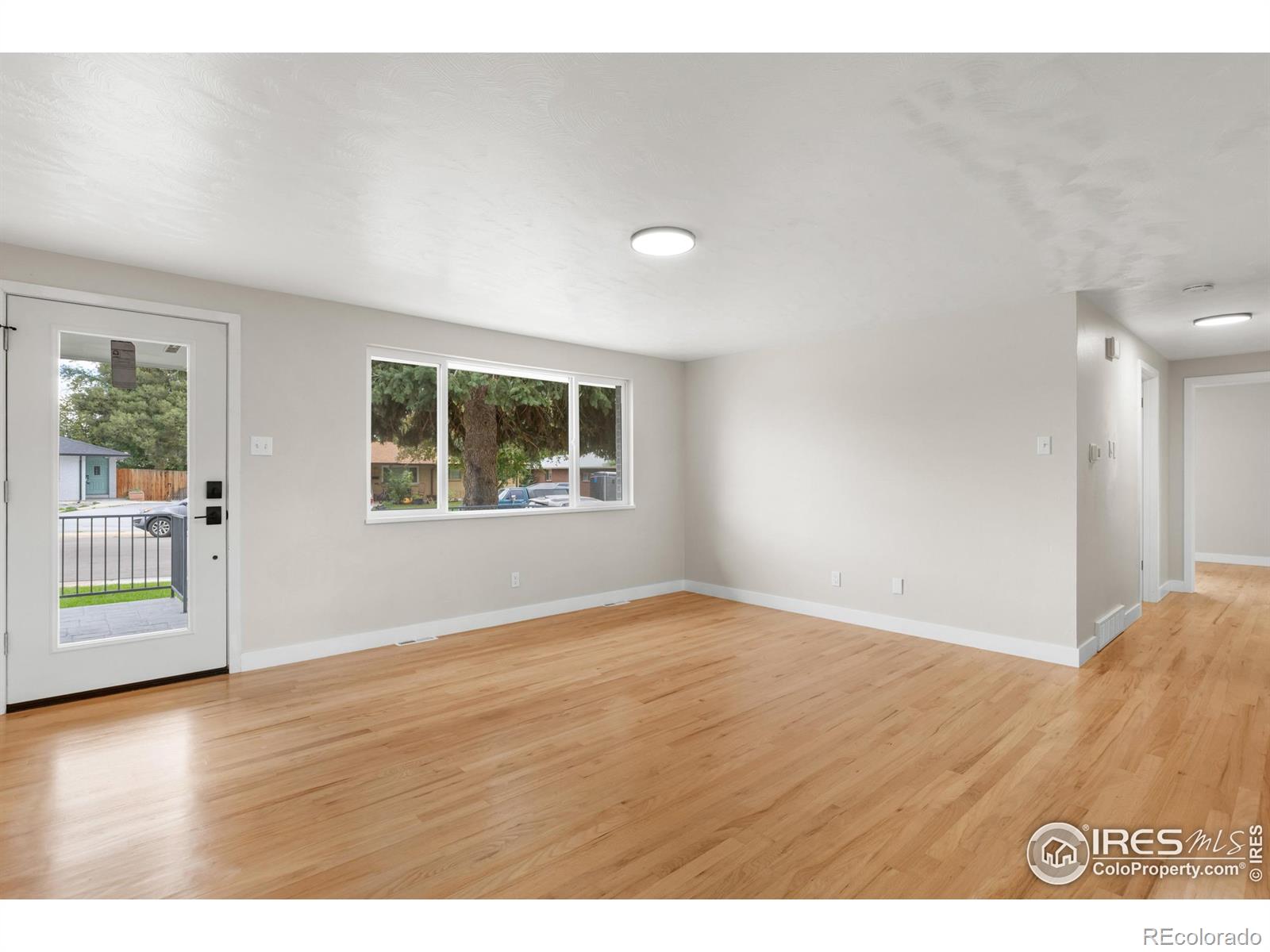 MLS Image #4 for 1245  sumner street,longmont, Colorado