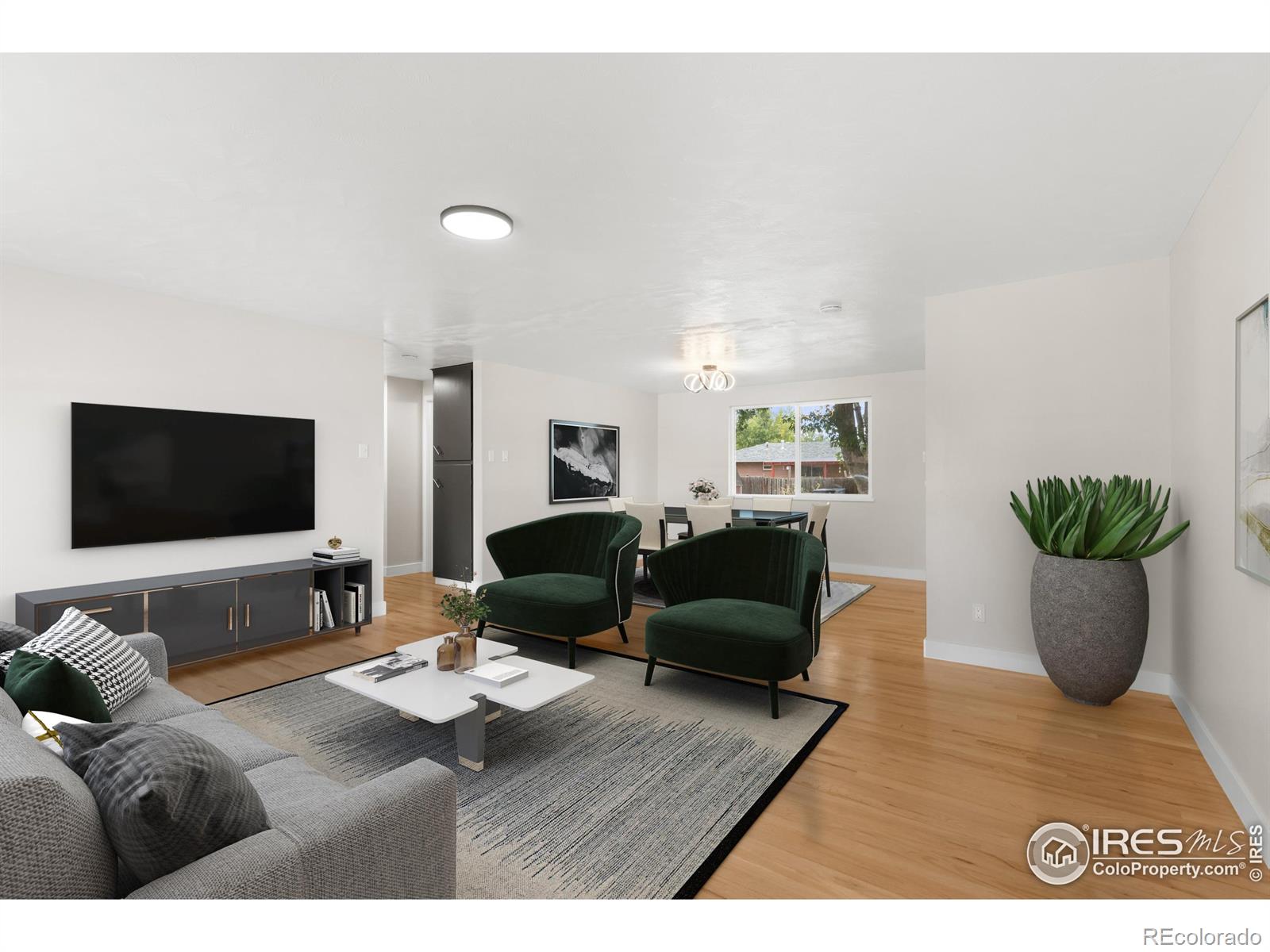 MLS Image #6 for 1245  sumner street,longmont, Colorado
