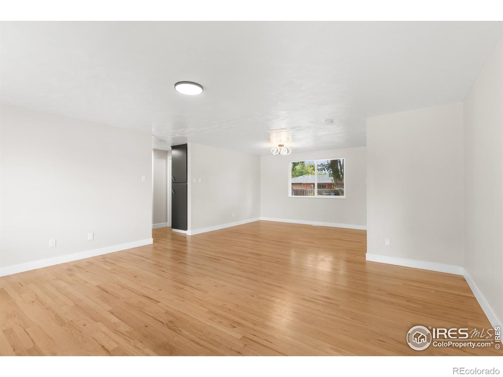 MLS Image #8 for 1245  sumner street,longmont, Colorado
