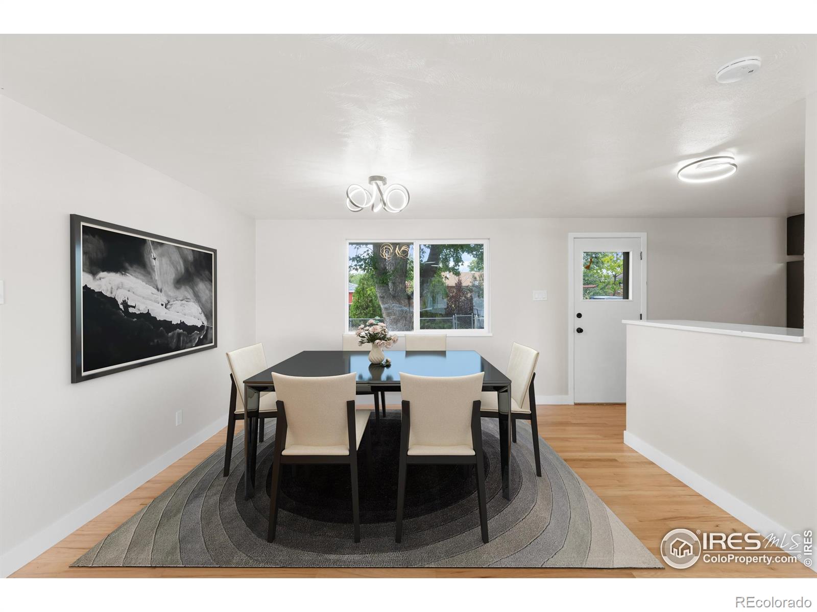 MLS Image #9 for 1245  sumner street,longmont, Colorado