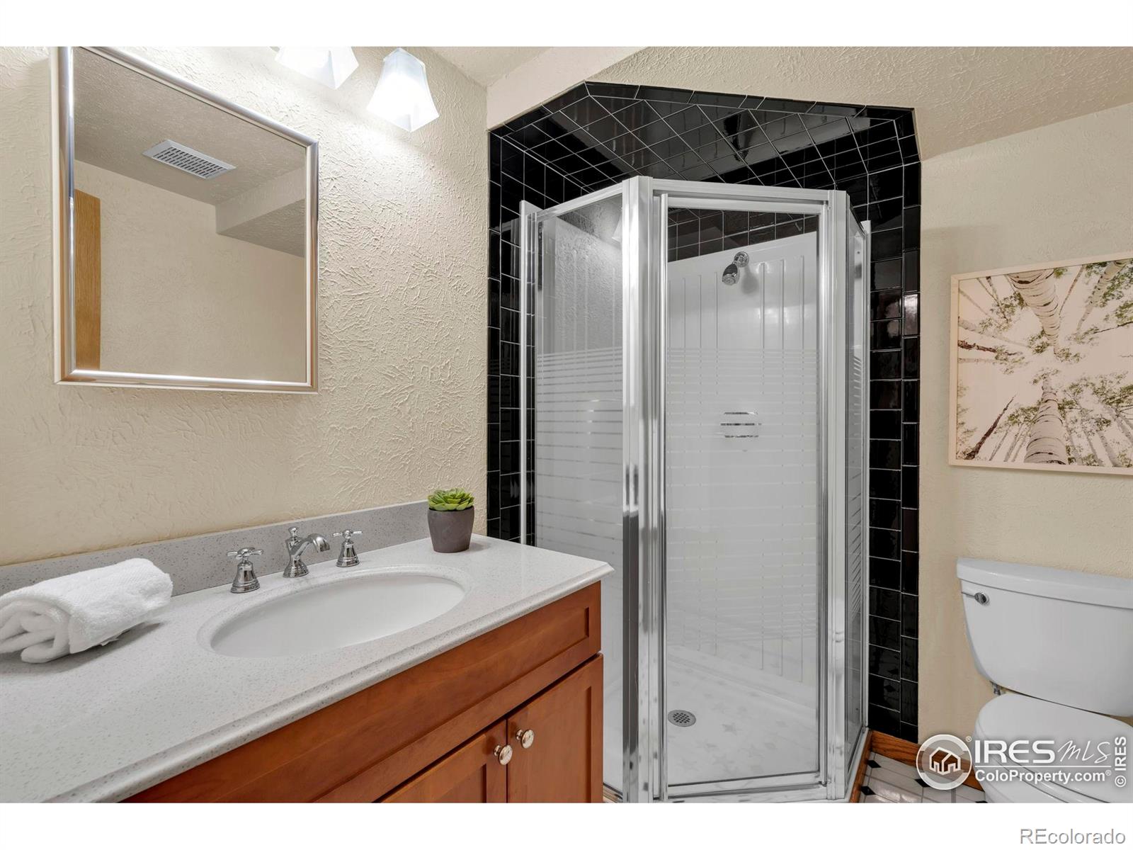 MLS Image #25 for 1400  wilson place,louisville, Colorado