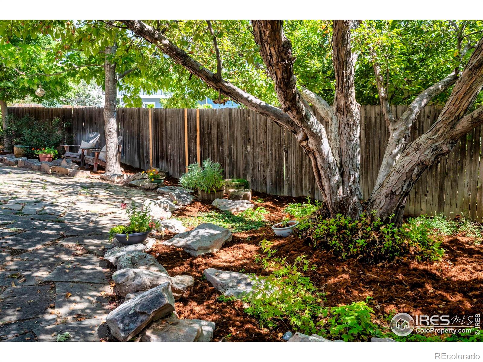 MLS Image #33 for 1400  wilson place,louisville, Colorado