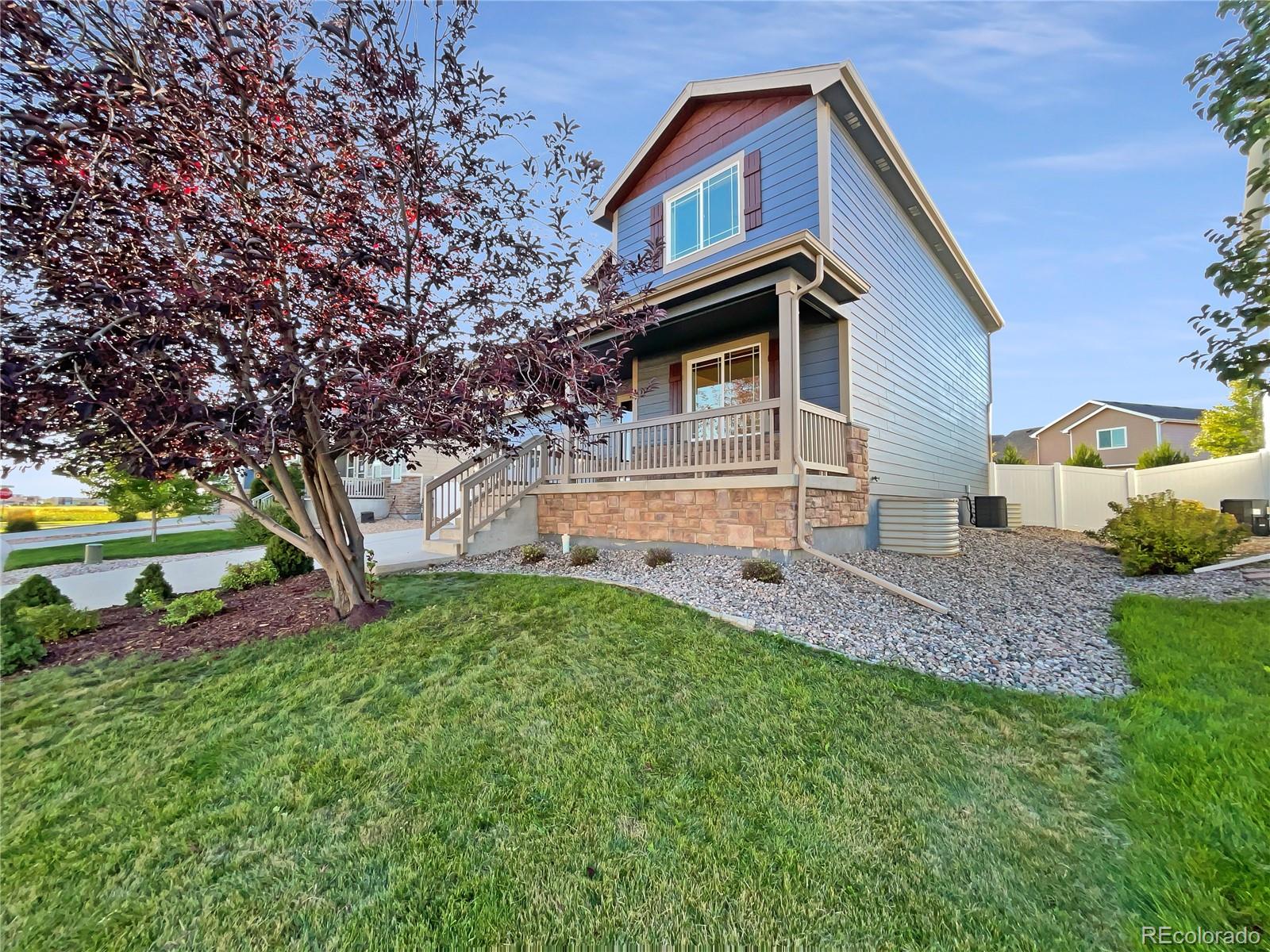 MLS Image #11 for 354  saratoga way,windsor, Colorado