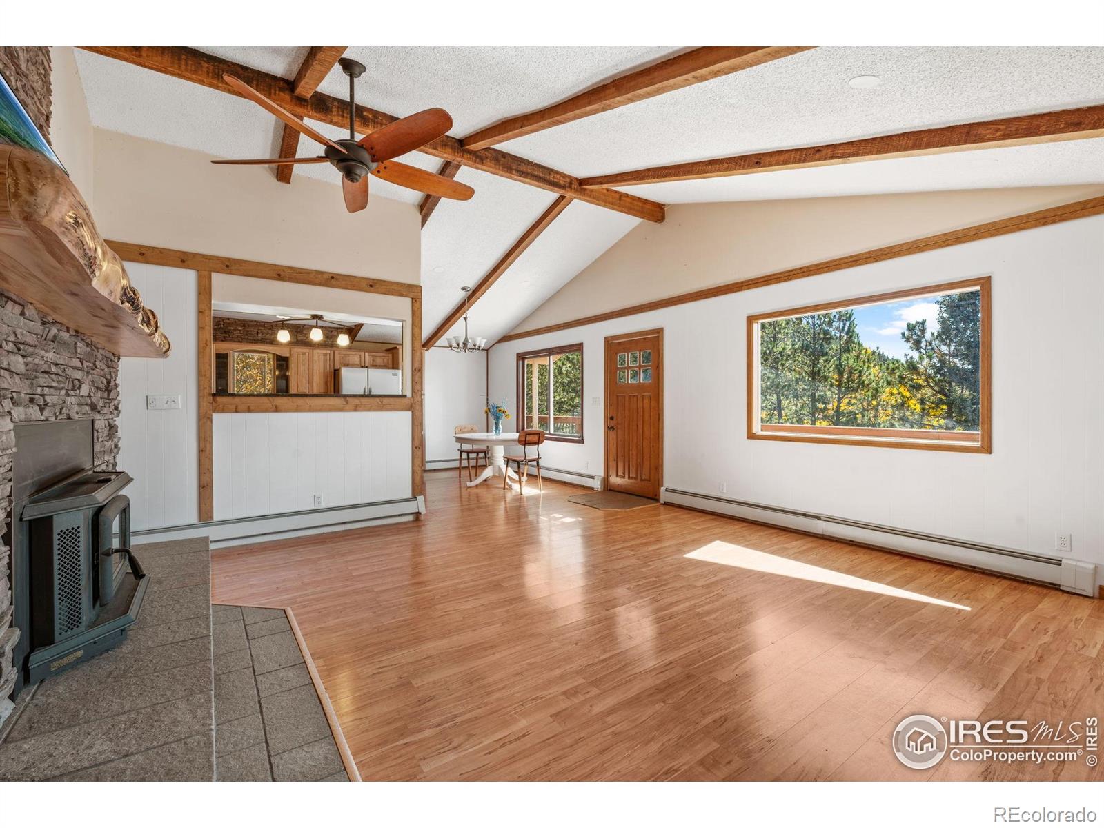 MLS Image #10 for 8  woodland valley drive,woodland park, Colorado
