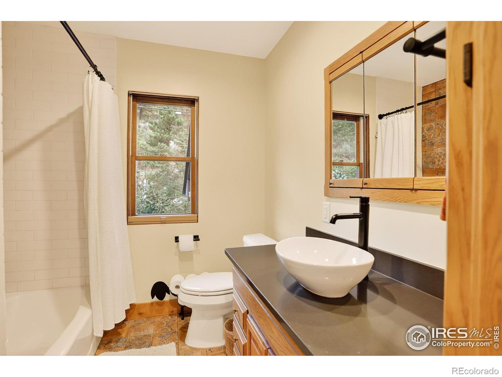 MLS Image #20 for 175  main street,jamestown, Colorado