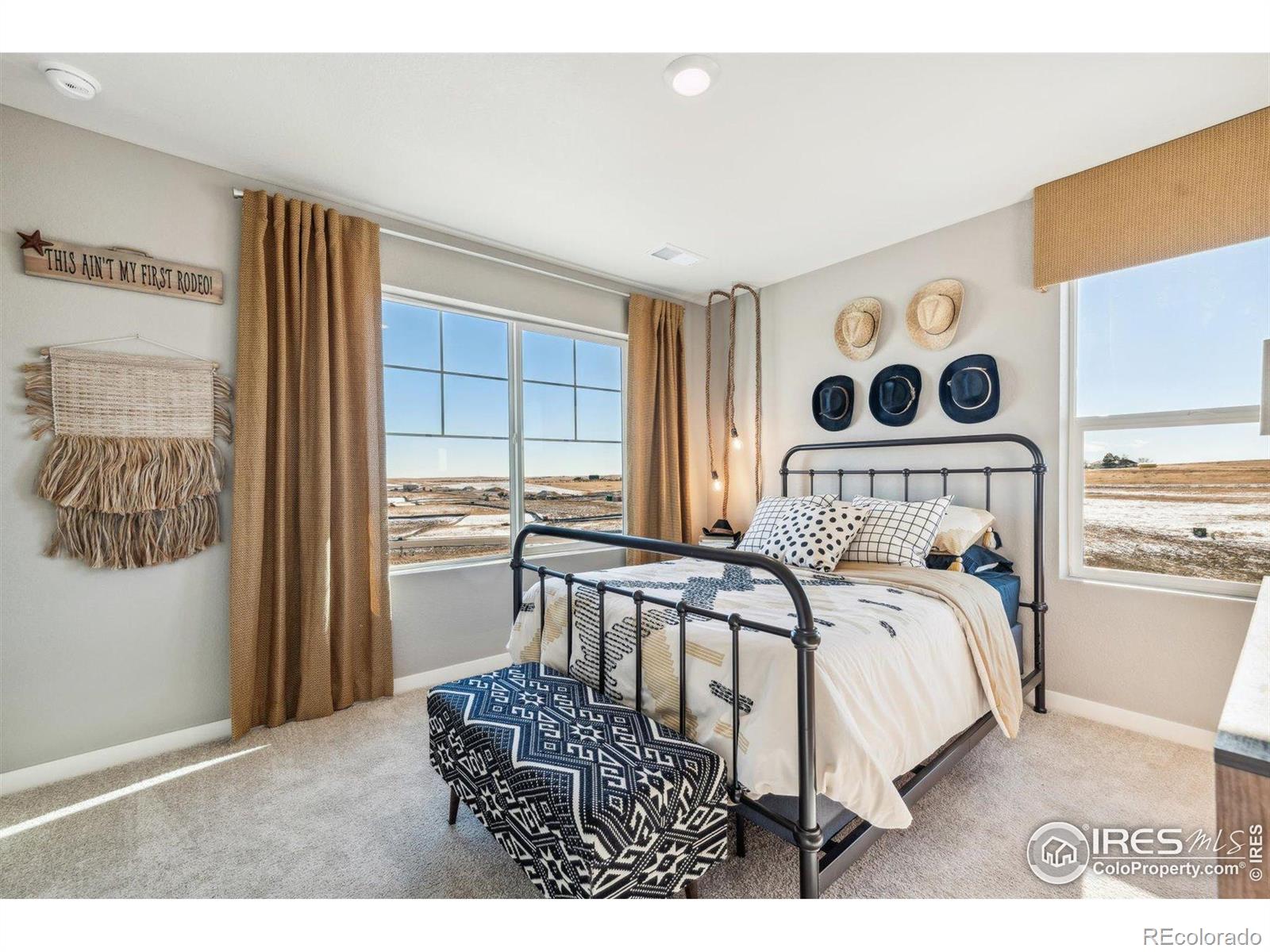 MLS Image #9 for 4326  gypsum avenue,mead, Colorado