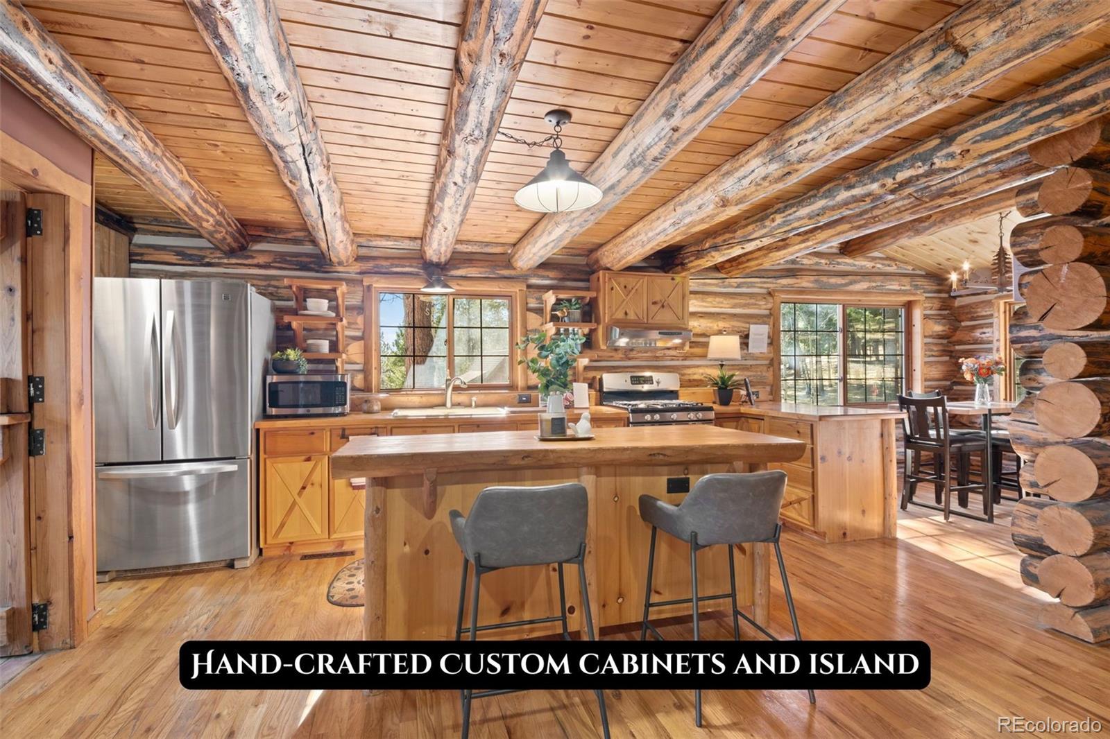 MLS Image #3 for 1889  burland drive,bailey, Colorado