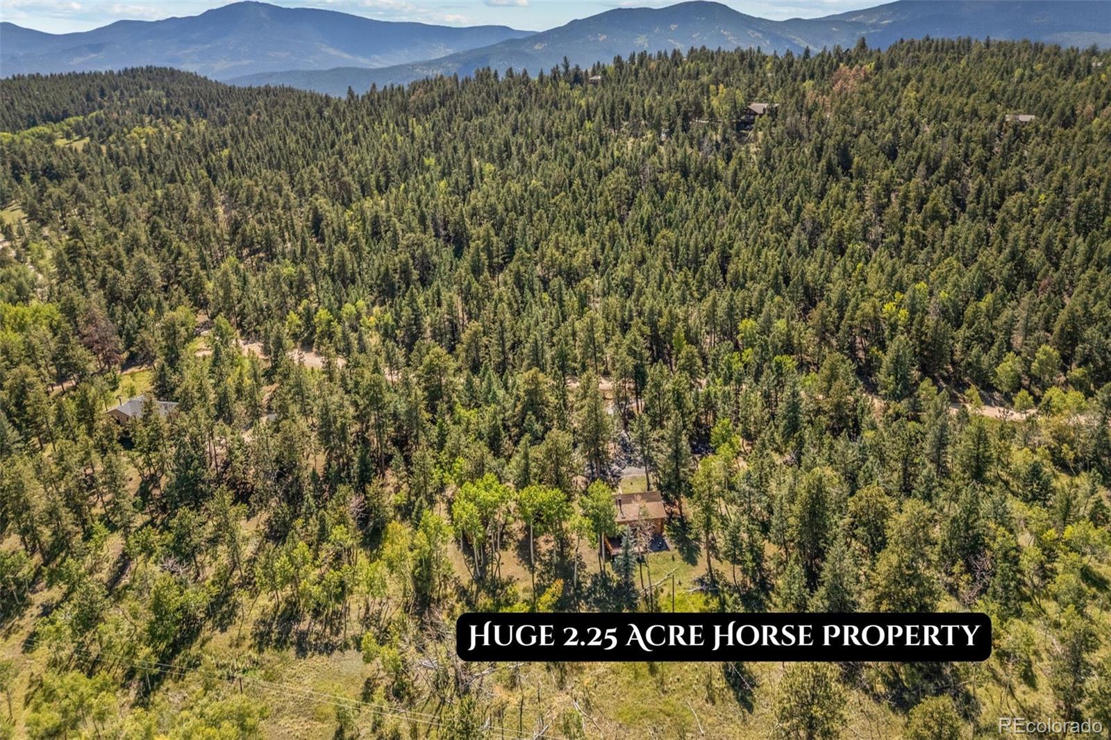MLS Image #41 for 1889  burland drive,bailey, Colorado