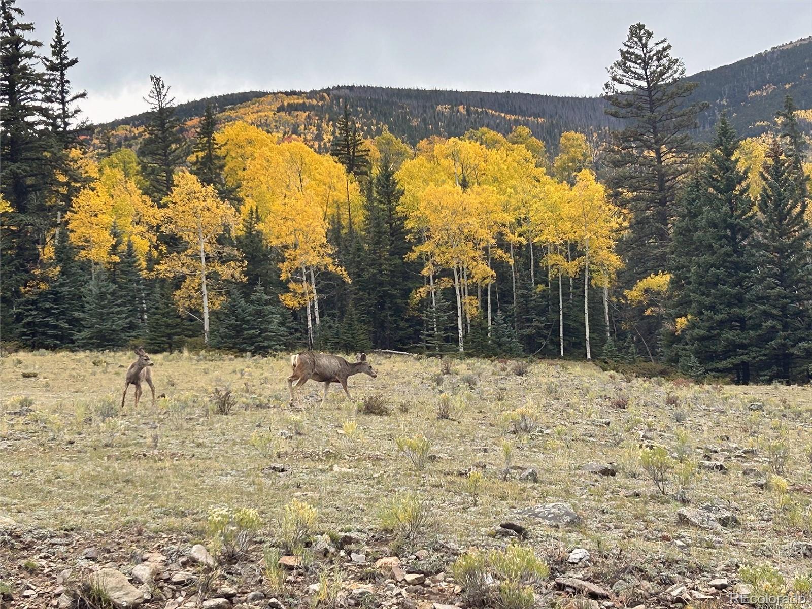 MLS Image #49 for 45950  rainbow trail,villa grove, Colorado
