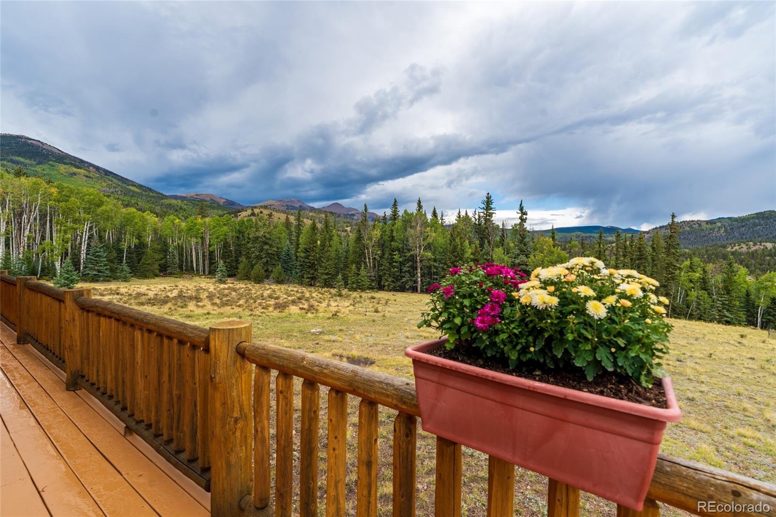 MLS Image #6 for 45950  rainbow trail,villa grove, Colorado