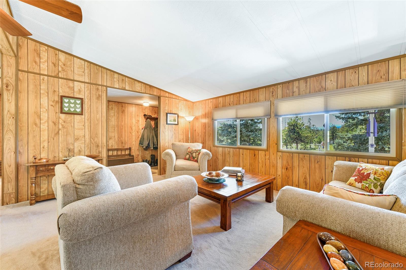 MLS Image #17 for 5155  painted rocks road,woodland park, Colorado