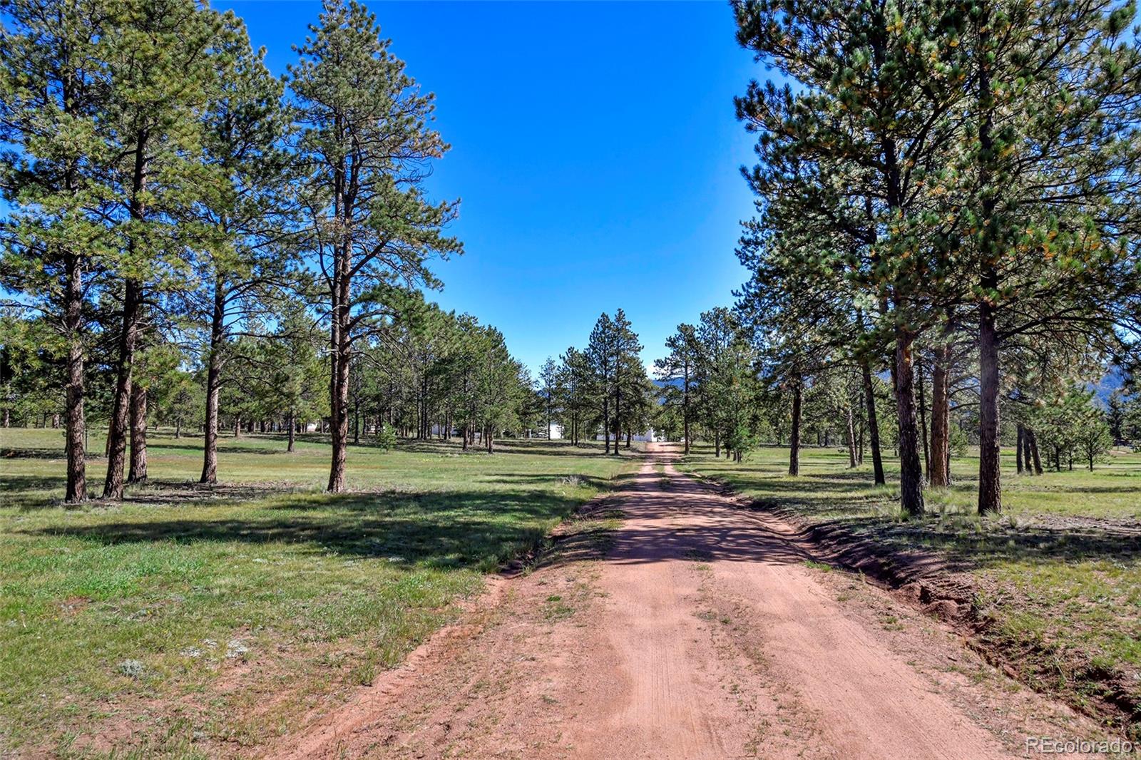 MLS Image #3 for 5155  painted rocks road,woodland park, Colorado
