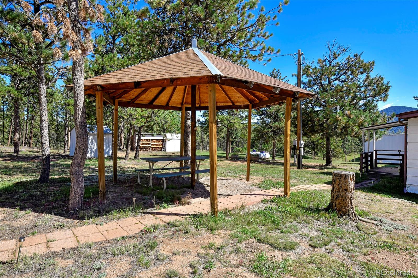 MLS Image #5 for 5155  painted rocks road,woodland park, Colorado