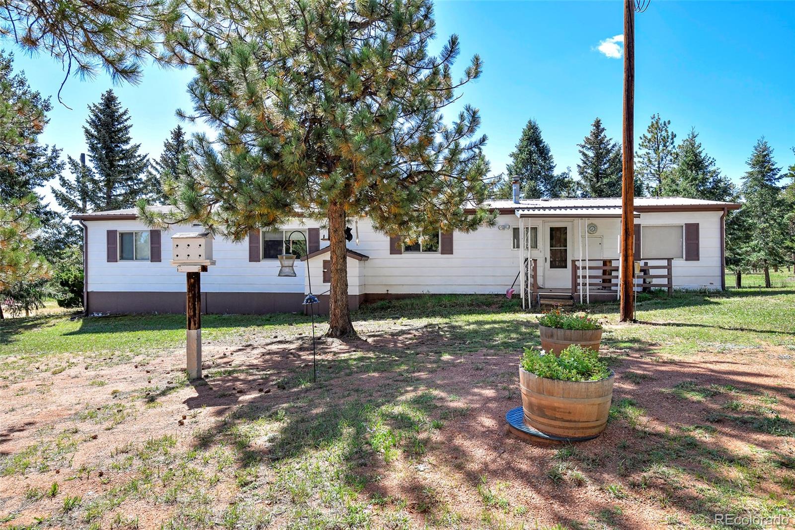 MLS Image #8 for 5155  painted rocks road,woodland park, Colorado