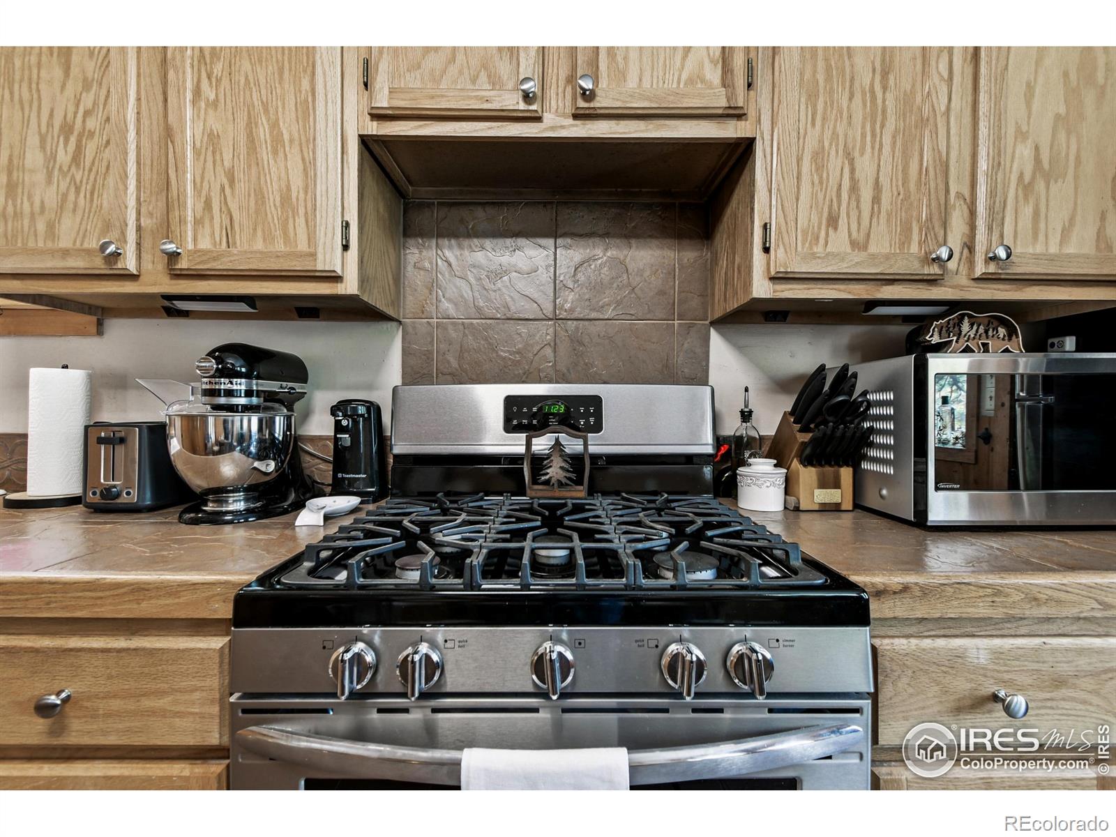 MLS Image #5 for 541  riverside drive,lyons, Colorado