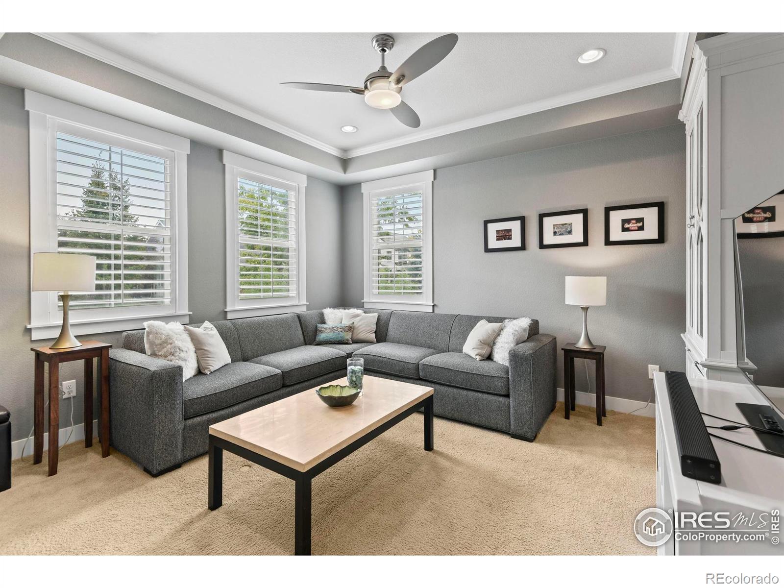 MLS Image #19 for 2849  crater lake lane,lafayette, Colorado