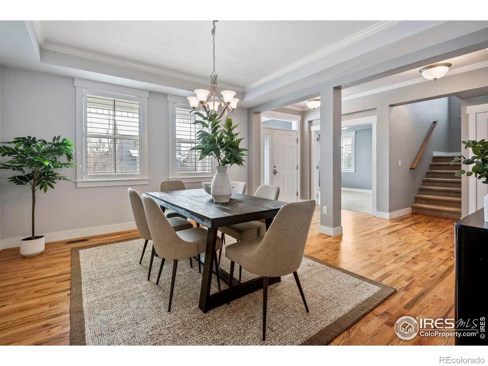 MLS Image #7 for 2849  crater lake lane,lafayette, Colorado