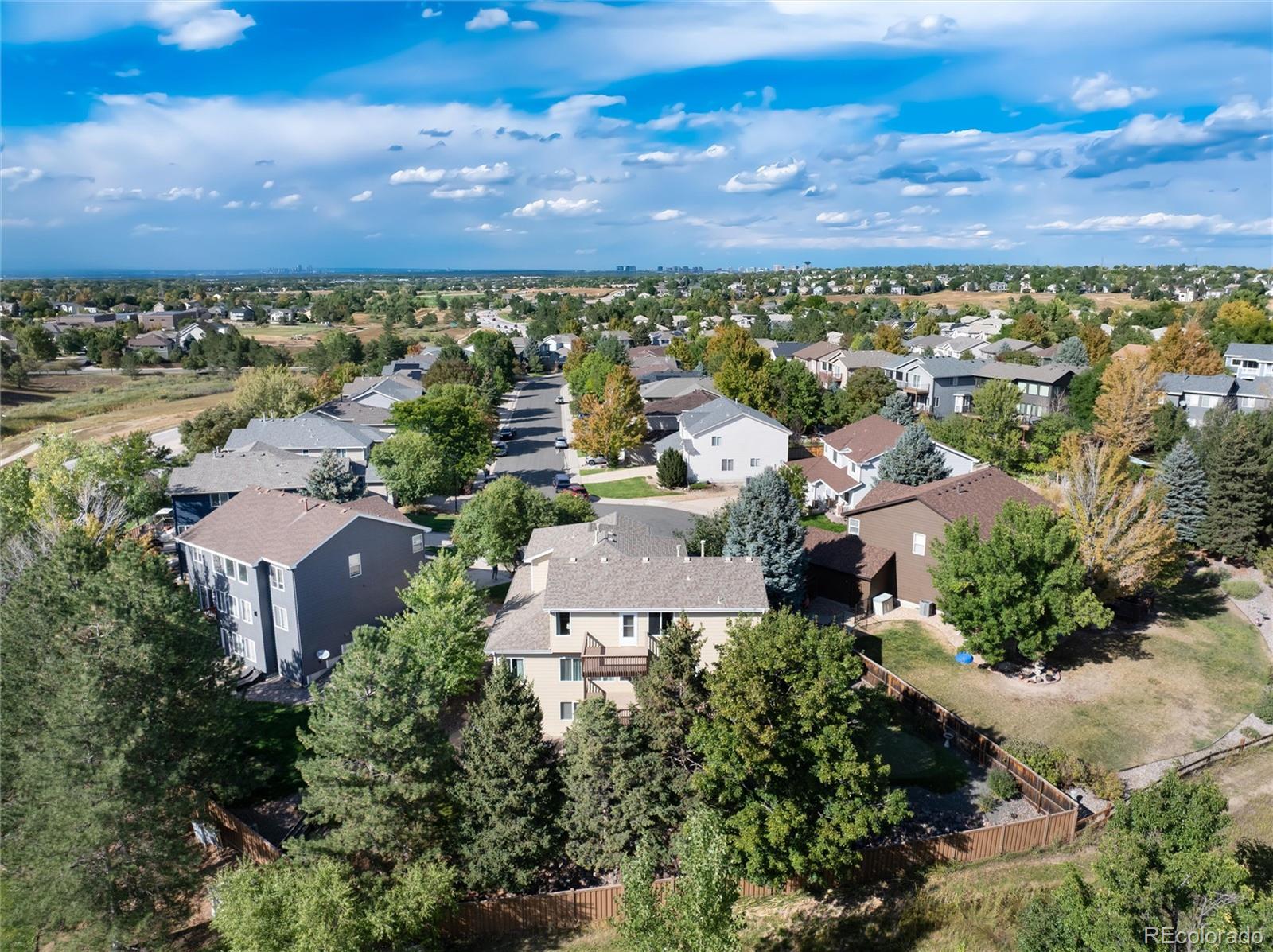 MLS Image #3 for 10296  lauren court,highlands ranch, Colorado
