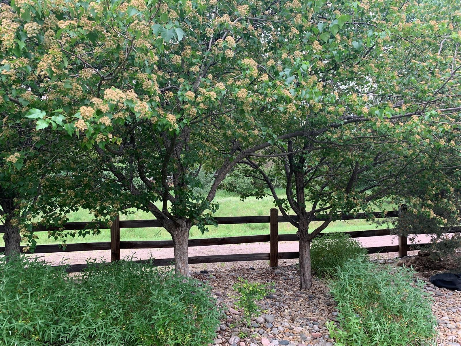 MLS Image #34 for 6526 s abilene street,englewood, Colorado