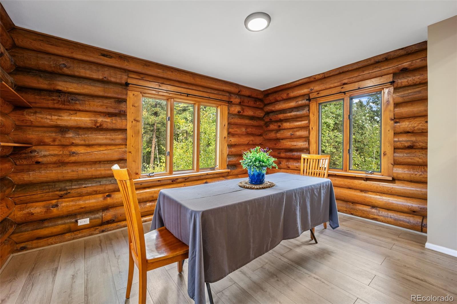 MLS Image #10 for 458  spruce lake drive,divide, Colorado