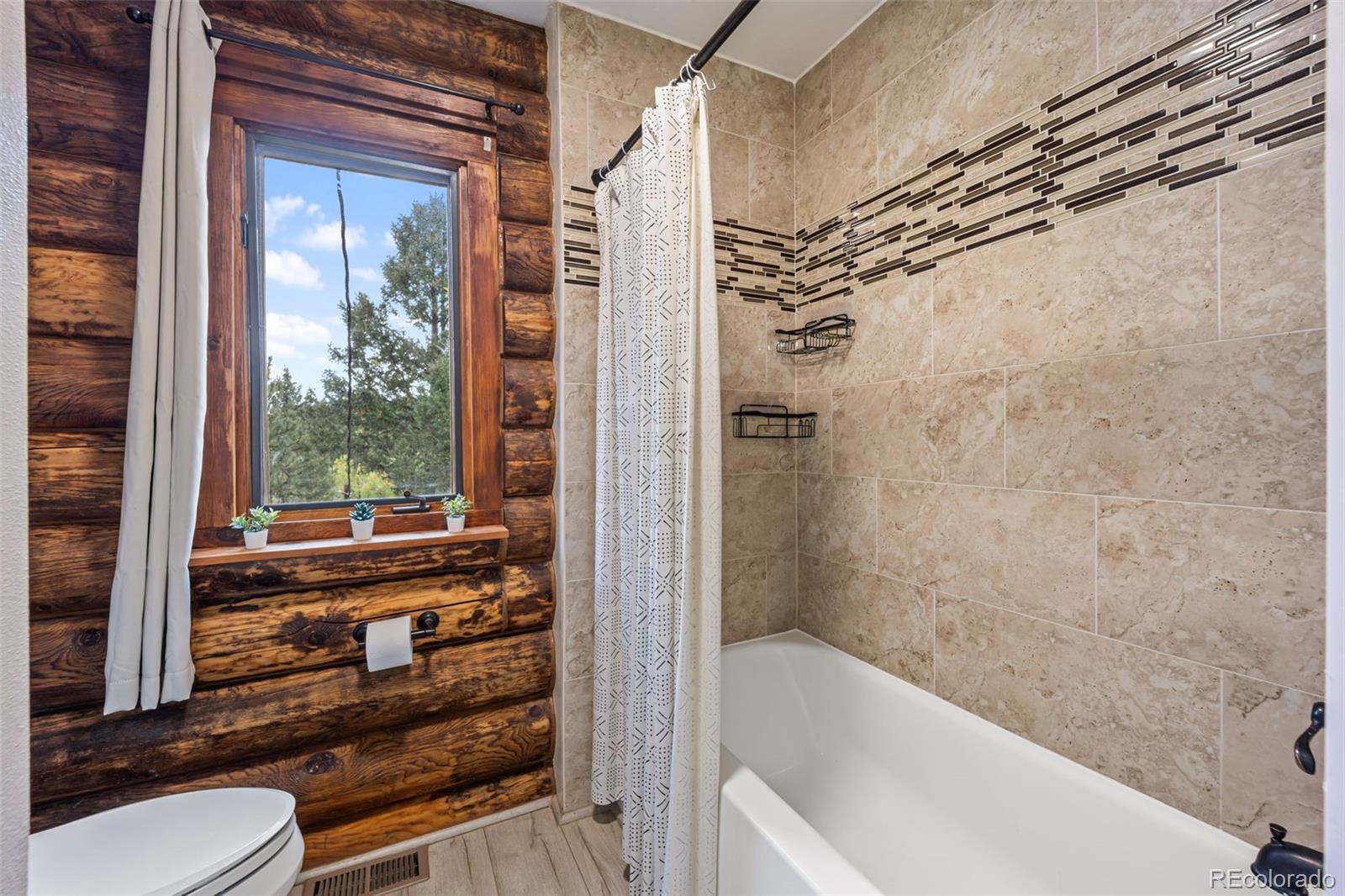 MLS Image #13 for 458  spruce lake drive,divide, Colorado