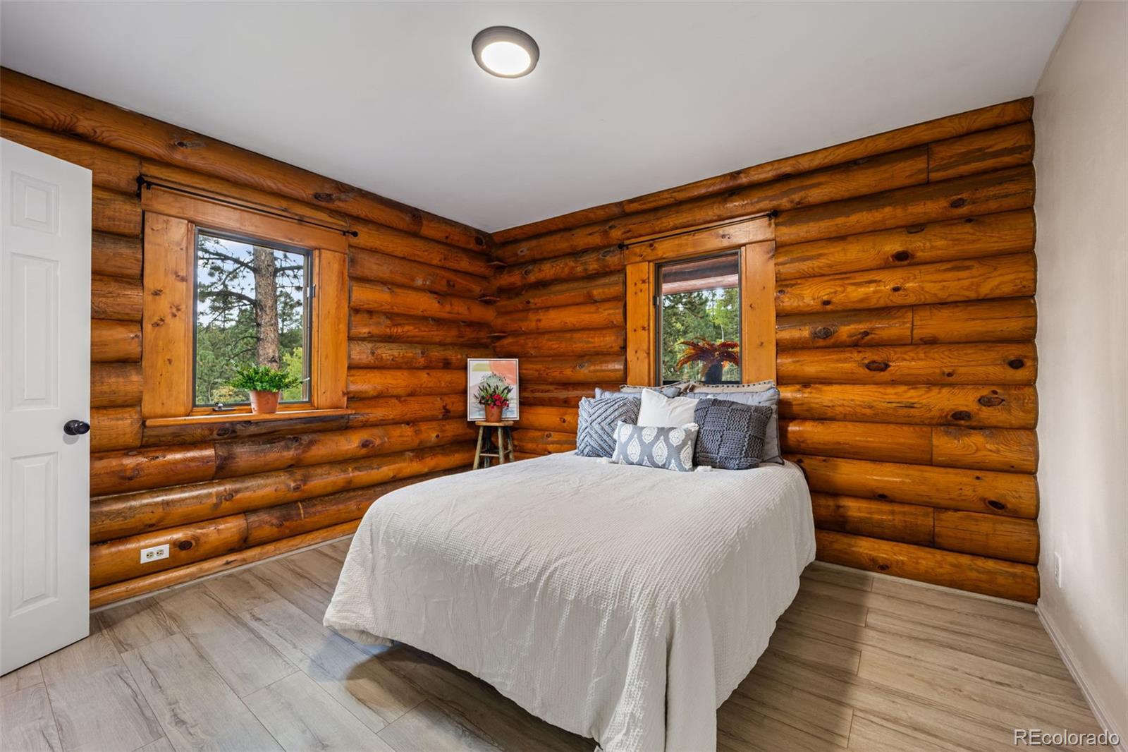 MLS Image #14 for 458  spruce lake drive,divide, Colorado