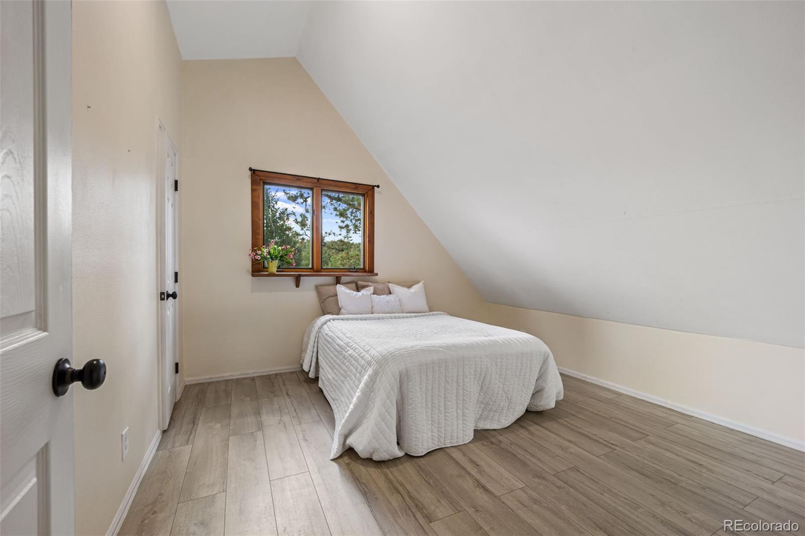 MLS Image #16 for 458  spruce lake drive,divide, Colorado