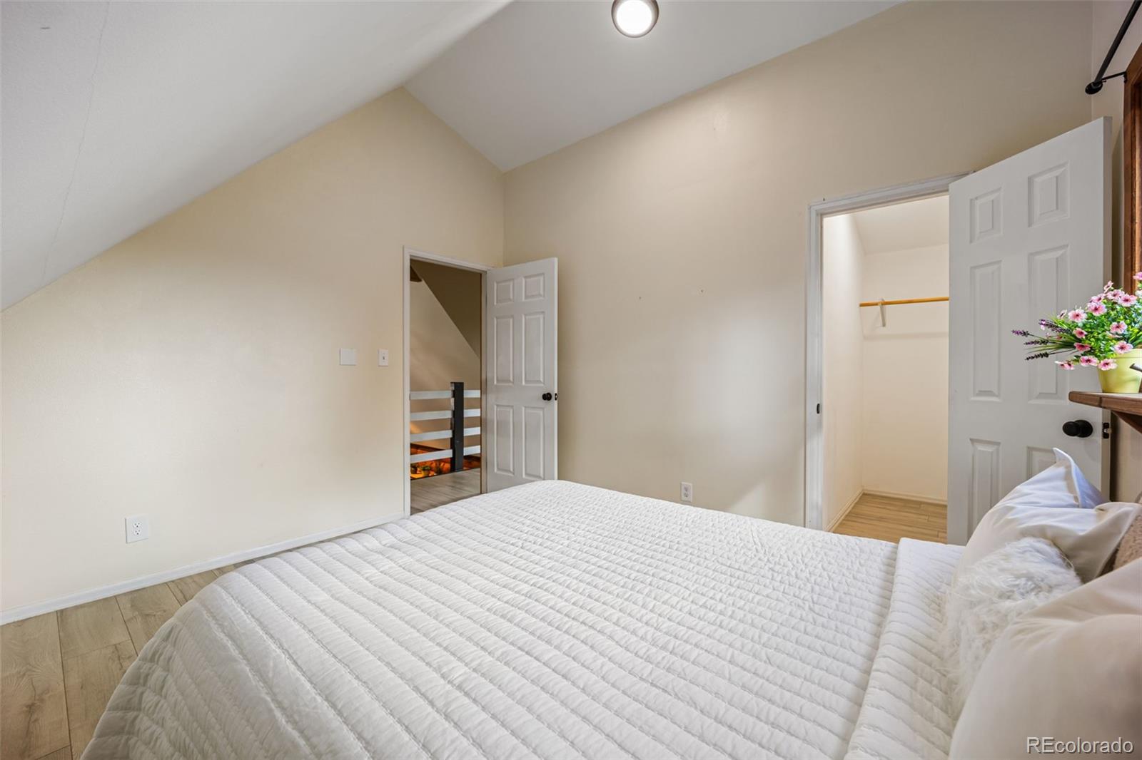 MLS Image #17 for 458  spruce lake drive,divide, Colorado