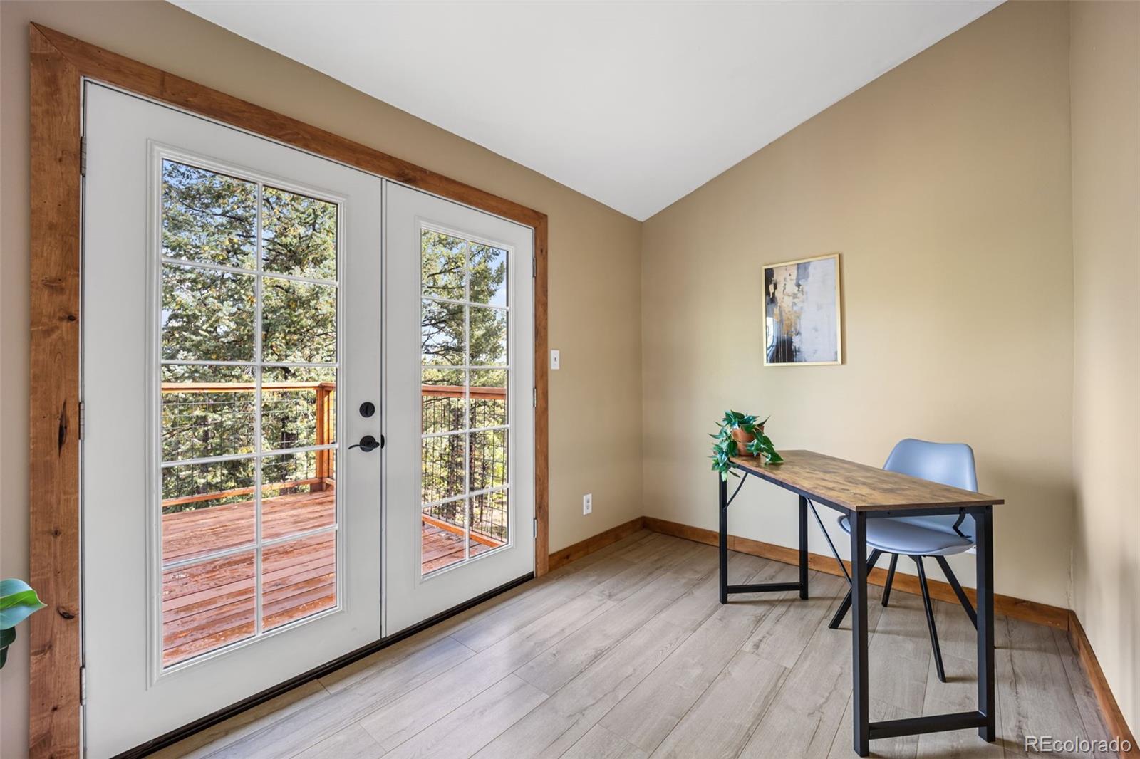 MLS Image #18 for 458  spruce lake drive,divide, Colorado