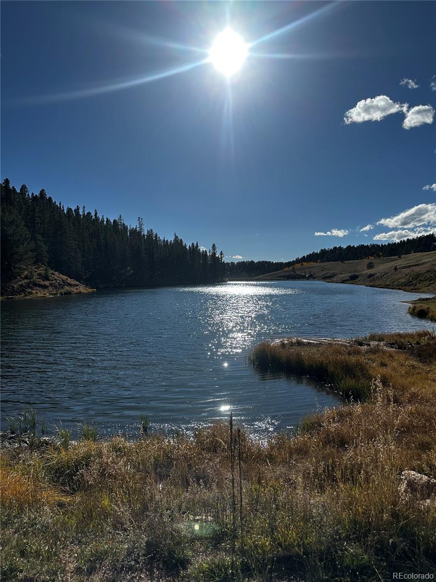 MLS Image #2 for 458  spruce lake drive,divide, Colorado