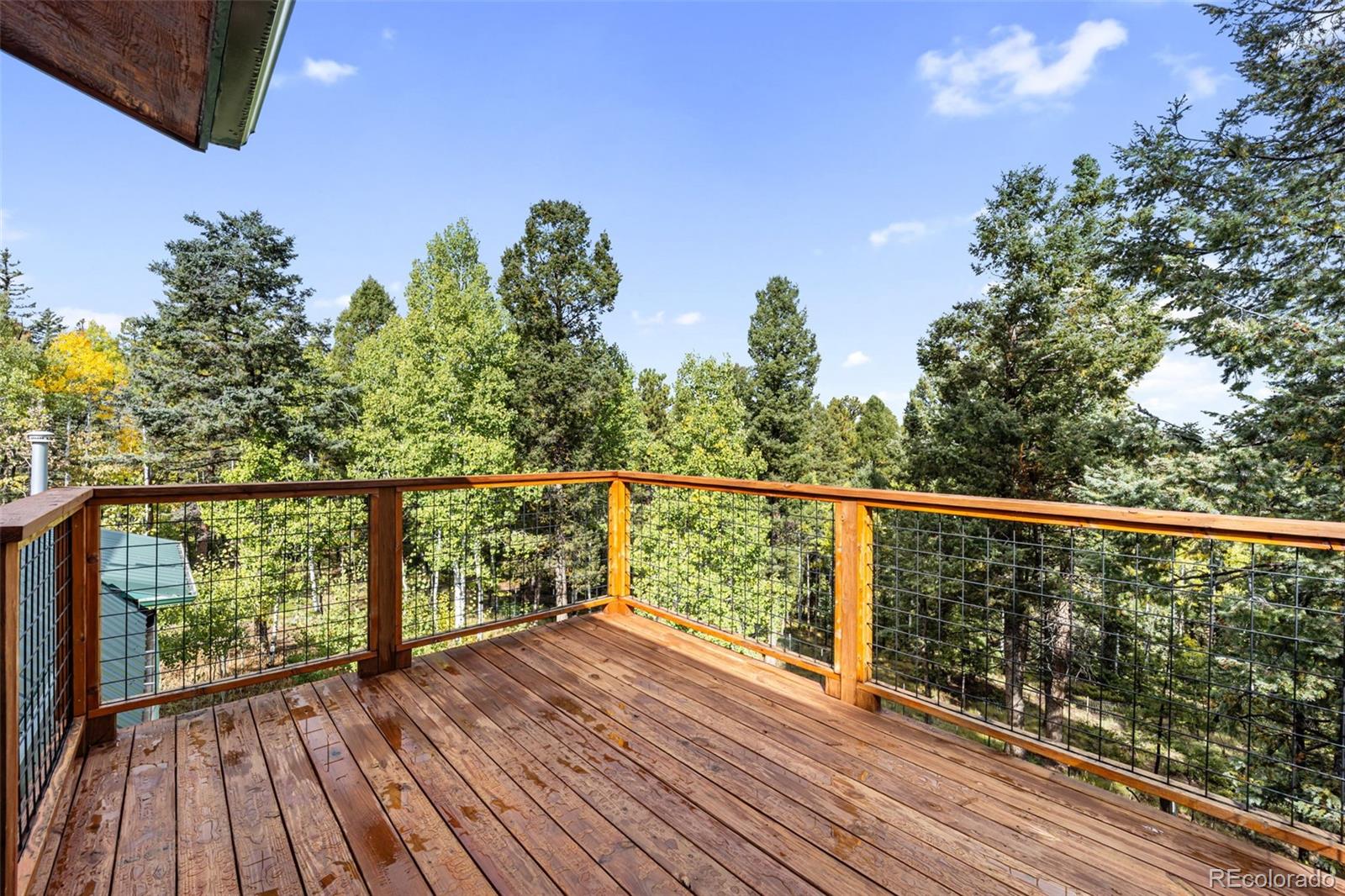 MLS Image #20 for 458  spruce lake drive,divide, Colorado