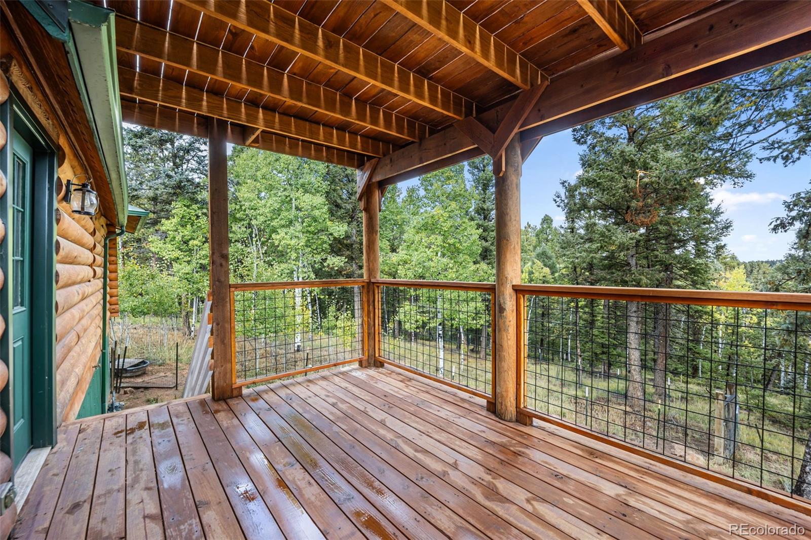 MLS Image #29 for 458  spruce lake drive,divide, Colorado