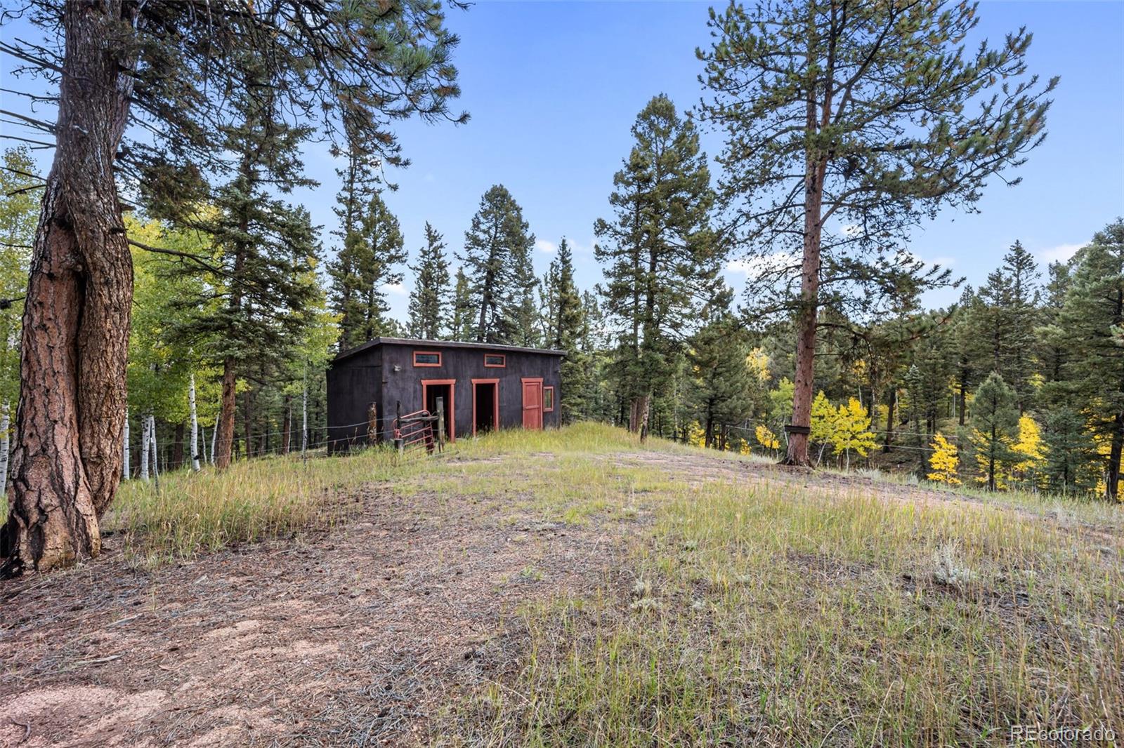 MLS Image #36 for 458  spruce lake drive,divide, Colorado