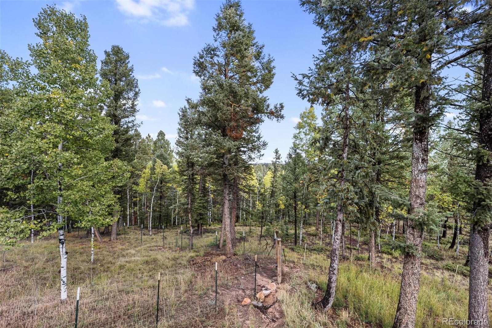 MLS Image #38 for 458  spruce lake drive,divide, Colorado