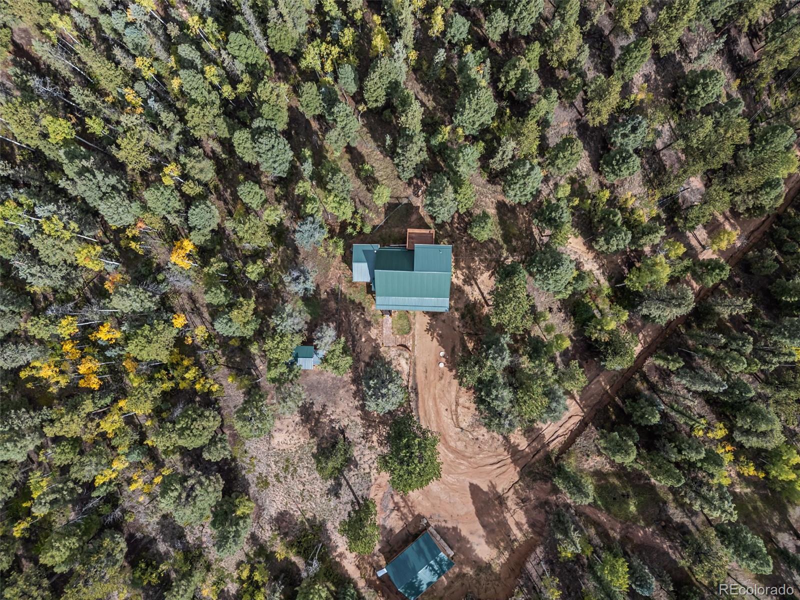 MLS Image #39 for 458  spruce lake drive,divide, Colorado