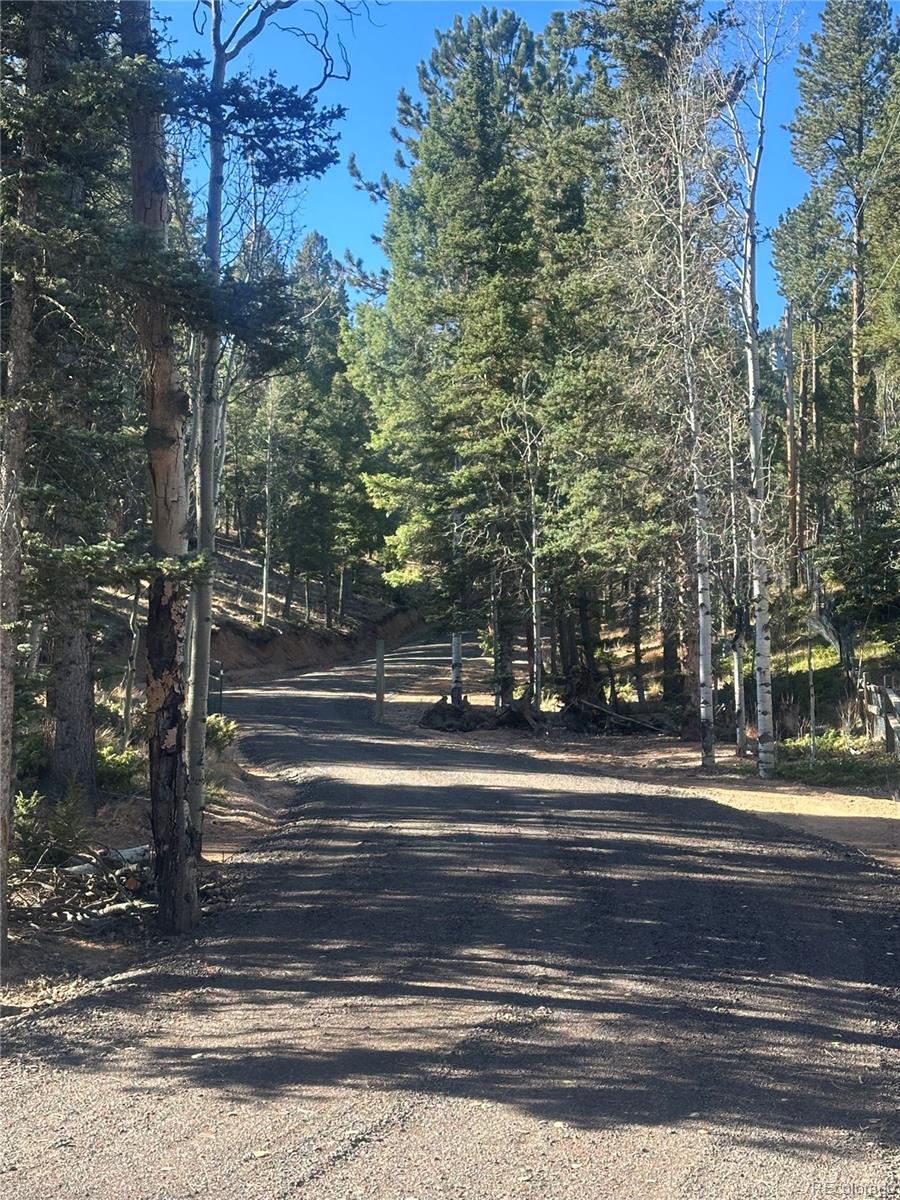 MLS Image #45 for 458  spruce lake drive,divide, Colorado