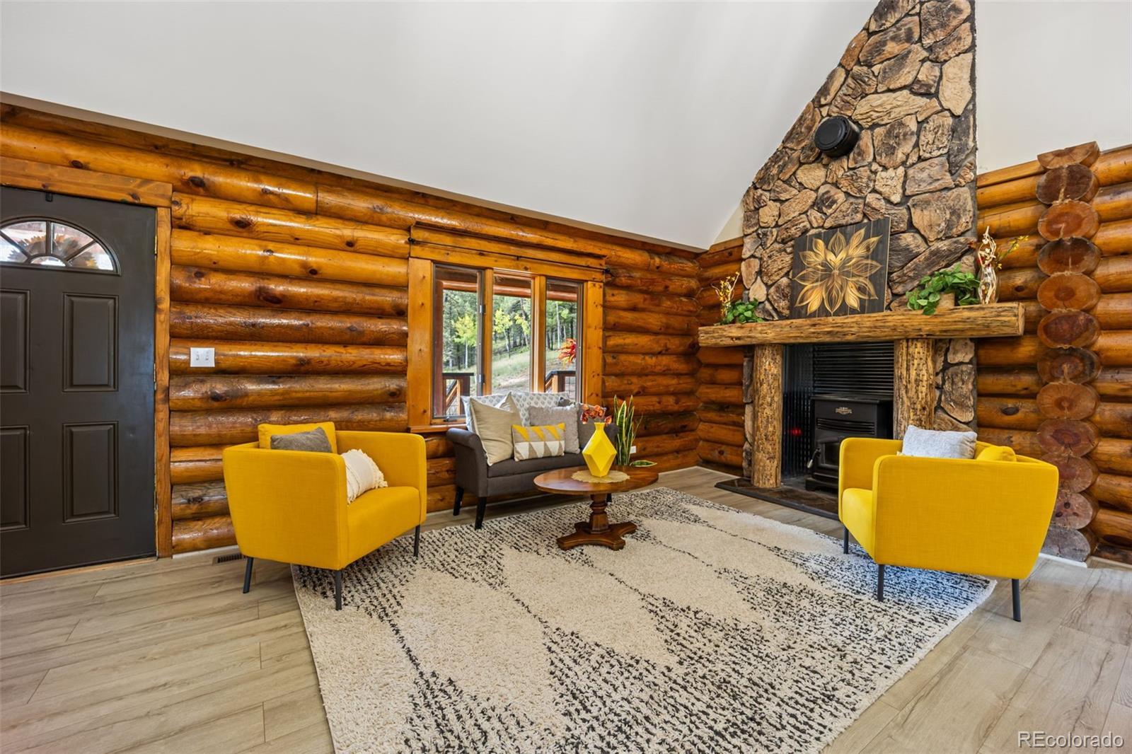 MLS Image #5 for 458  spruce lake drive,divide, Colorado