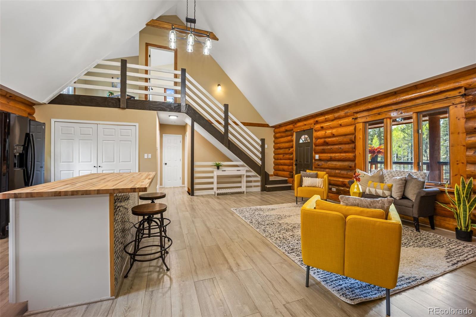 MLS Image #6 for 458  spruce lake drive,divide, Colorado