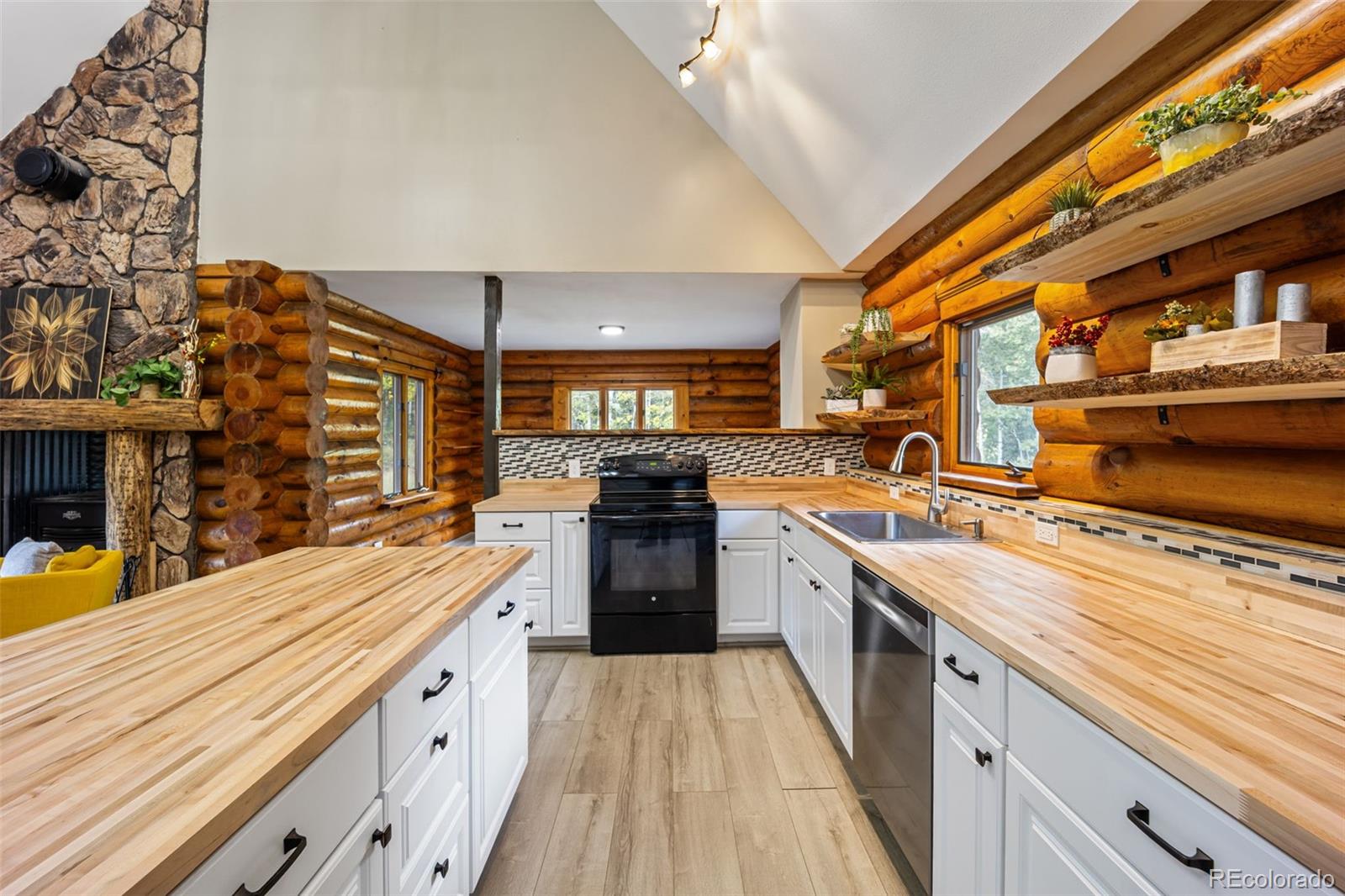 MLS Image #9 for 458  spruce lake drive,divide, Colorado