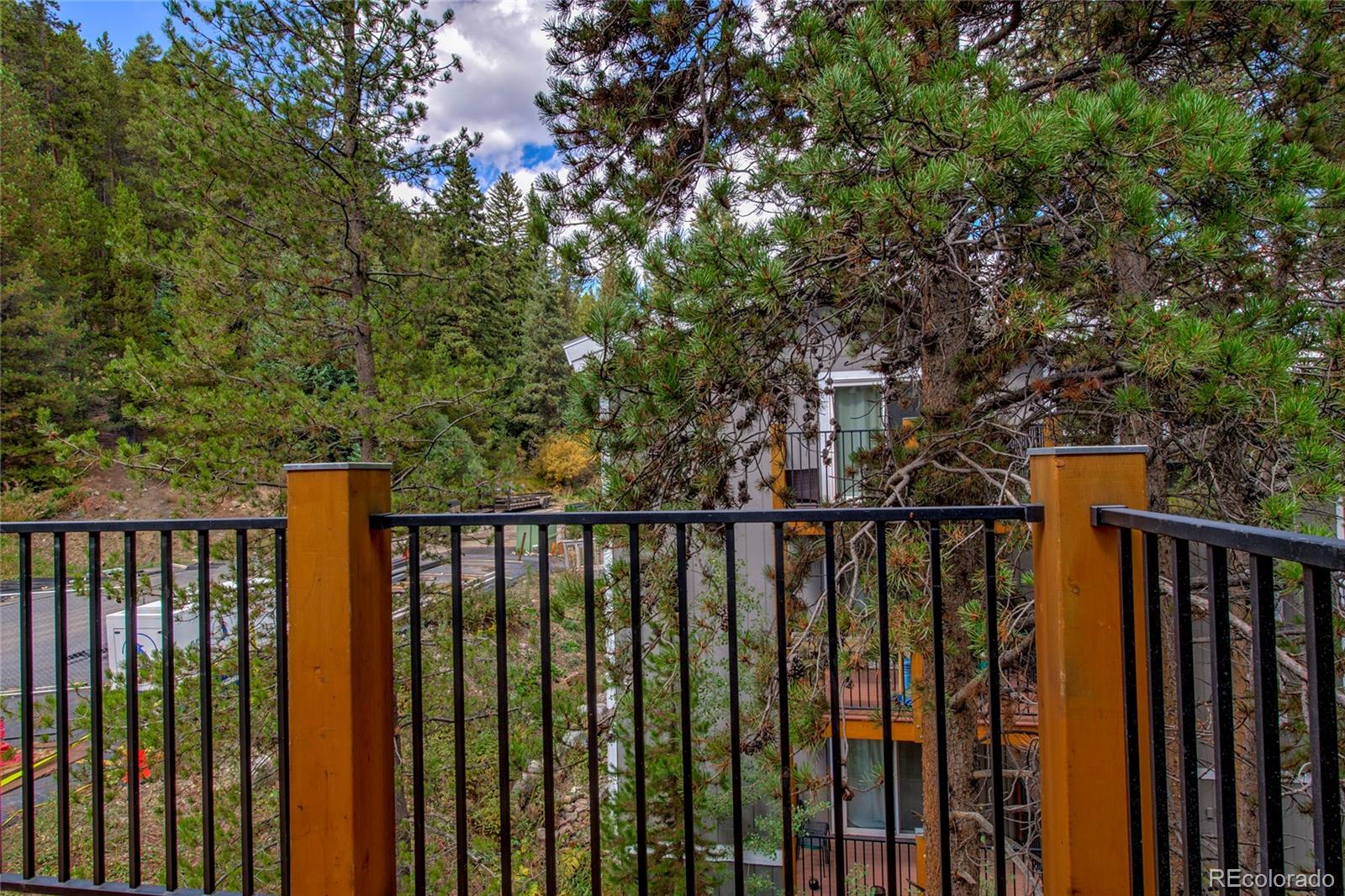 MLS Image #19 for 100  now colorado court 3,breckenridge, Colorado
